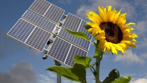 La SSES souhaite remettre le développement du photovoltaïque sur la bonne voie