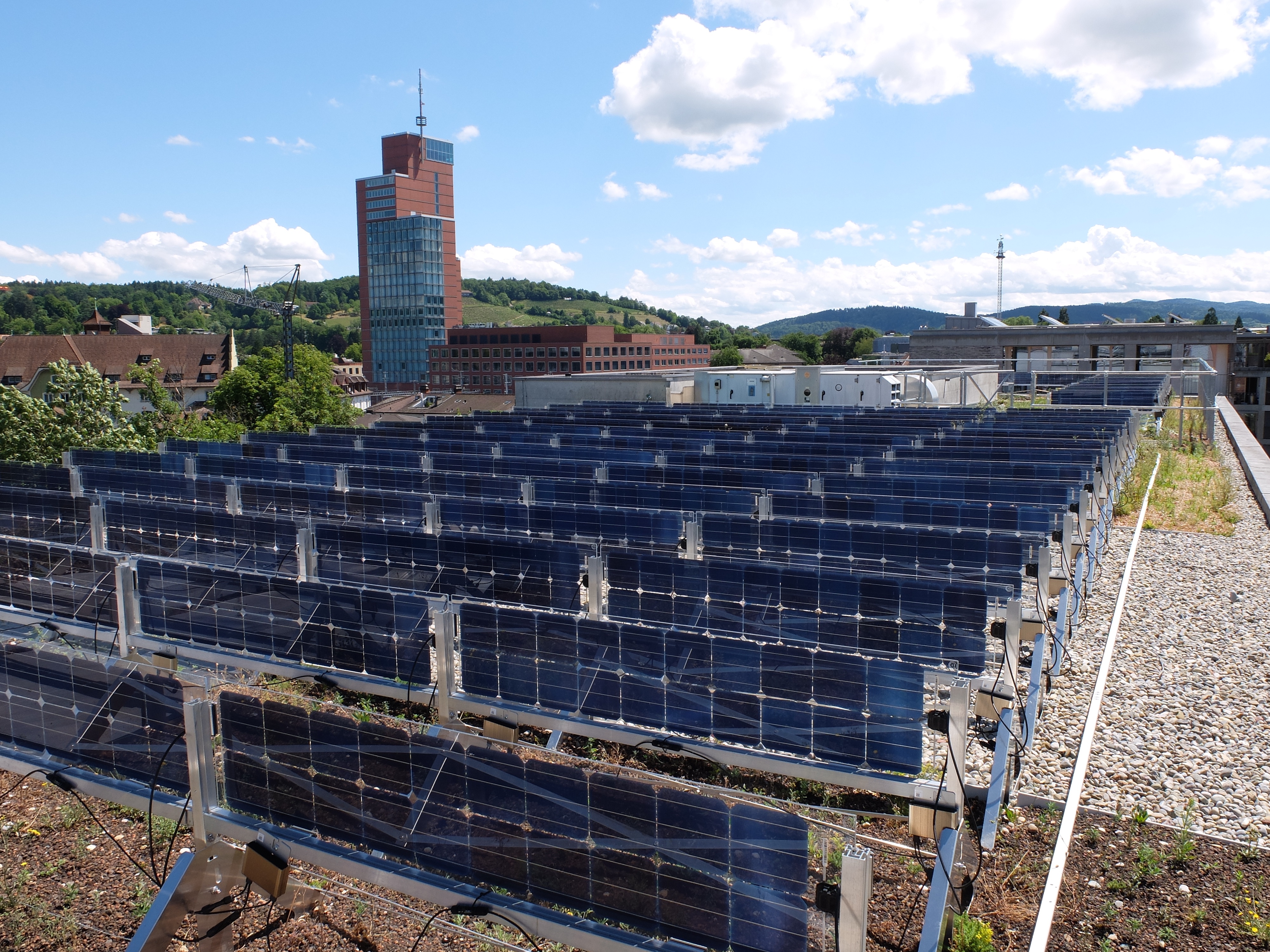 Grün und Photovoltaik auf dem Dach der Residenz Eichgut - SSES